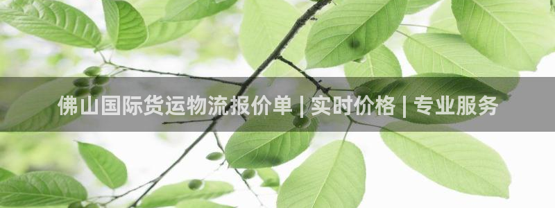 公海赌中国赌船官网710app