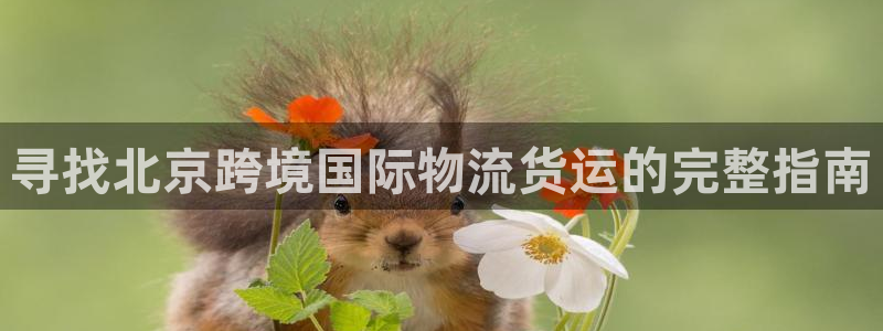 公海赌船平台