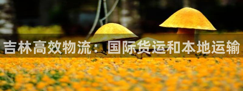 欢迎您来到公海欢迎您来到赌船