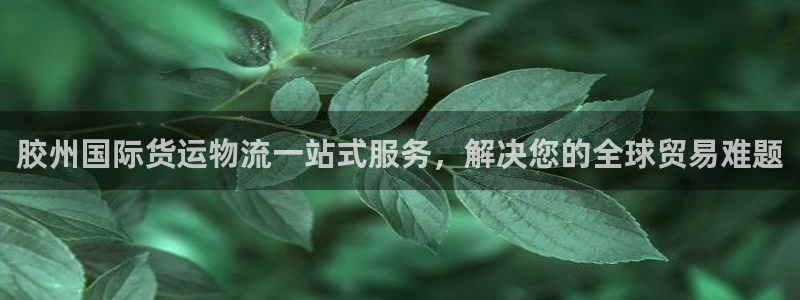 公海手机版710官网