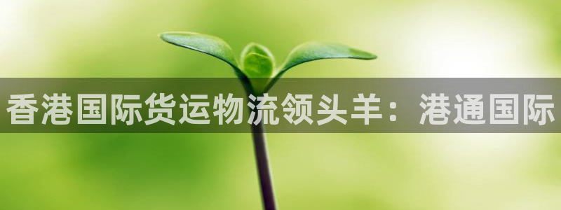 公海赌赌船555000cc