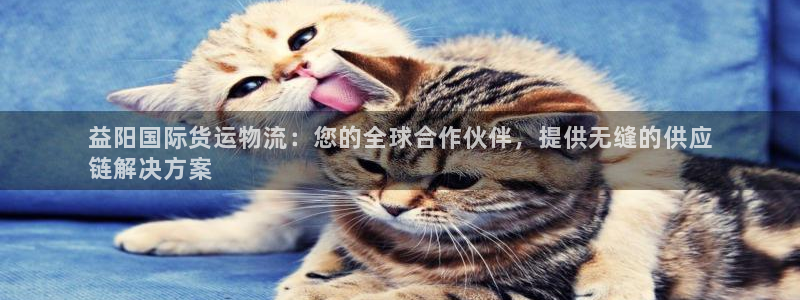 公海赌船平台