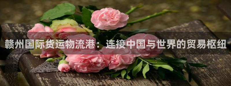 欢迎来到公海7108