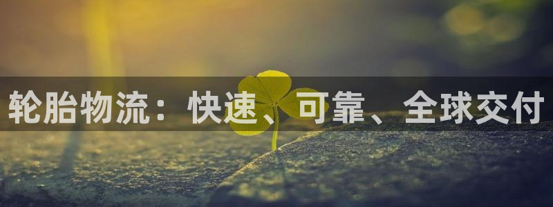 公海赌船网址