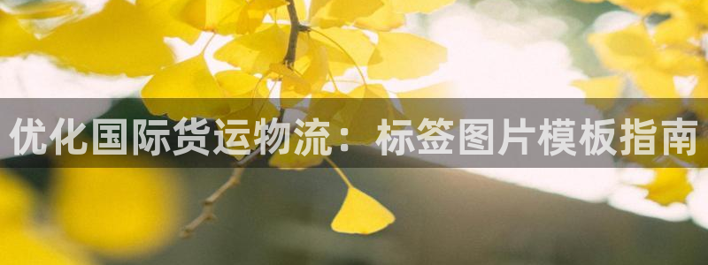 公海手机版710官网